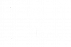 Liwss Books